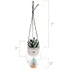 Karma Hanging Succulent Pot: Bee Kind
