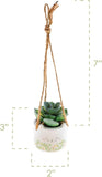 Karma Hanging Succulent Pot: Cat