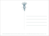 Studio Ghibli Princess Mononoke: 30 Postcards