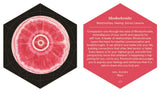 Mystic Mondays: The Crystal Grid Deck : An 80-Card Deck to Charge Your Intentions
