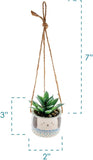Karma Hanging Succulent Pot: Dog
