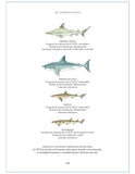 La Biografía Ilustrada del Tiburón