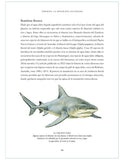 La Biografía Ilustrada del Tiburón