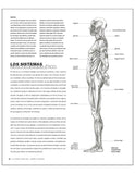 Anatomía para el Artista