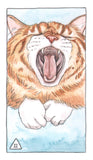 Cat Tarot : 78 Cards & Guidebook