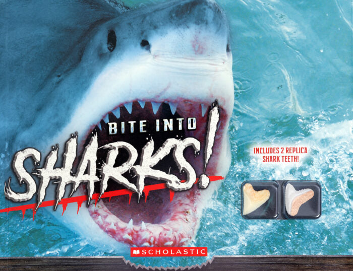 Bite Into Sharks!
