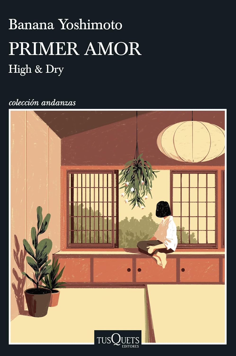 Primer Amor (Novela) / High and Dry (a Novel)