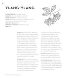 Pequeño libro de los aceites esenciales
