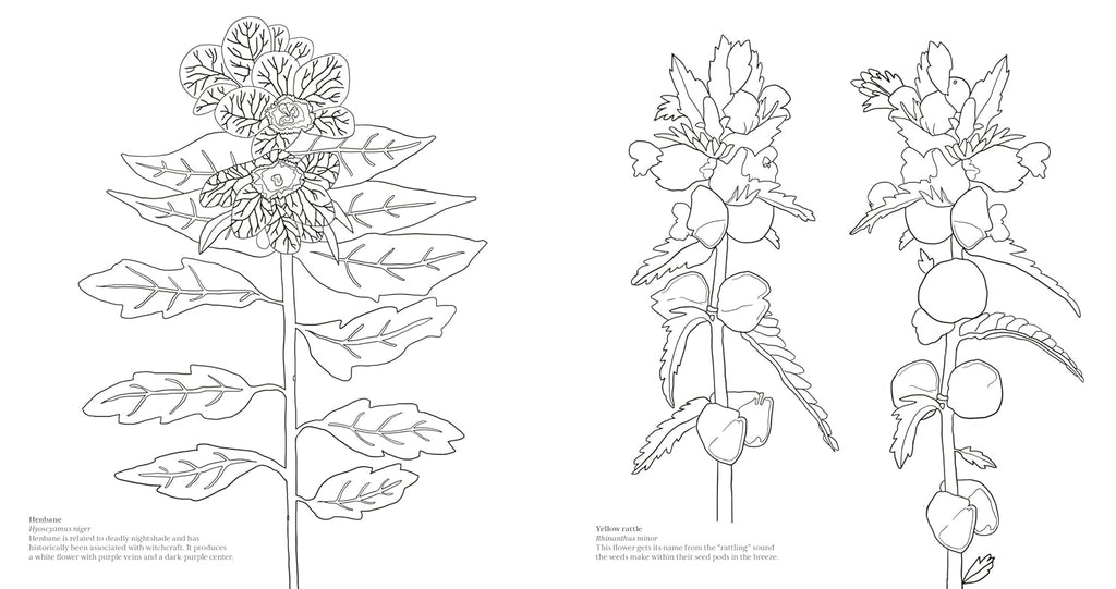 Wonderful Wildflowers Coloring Book: Over 75 Natural Wonders to Color and Explore