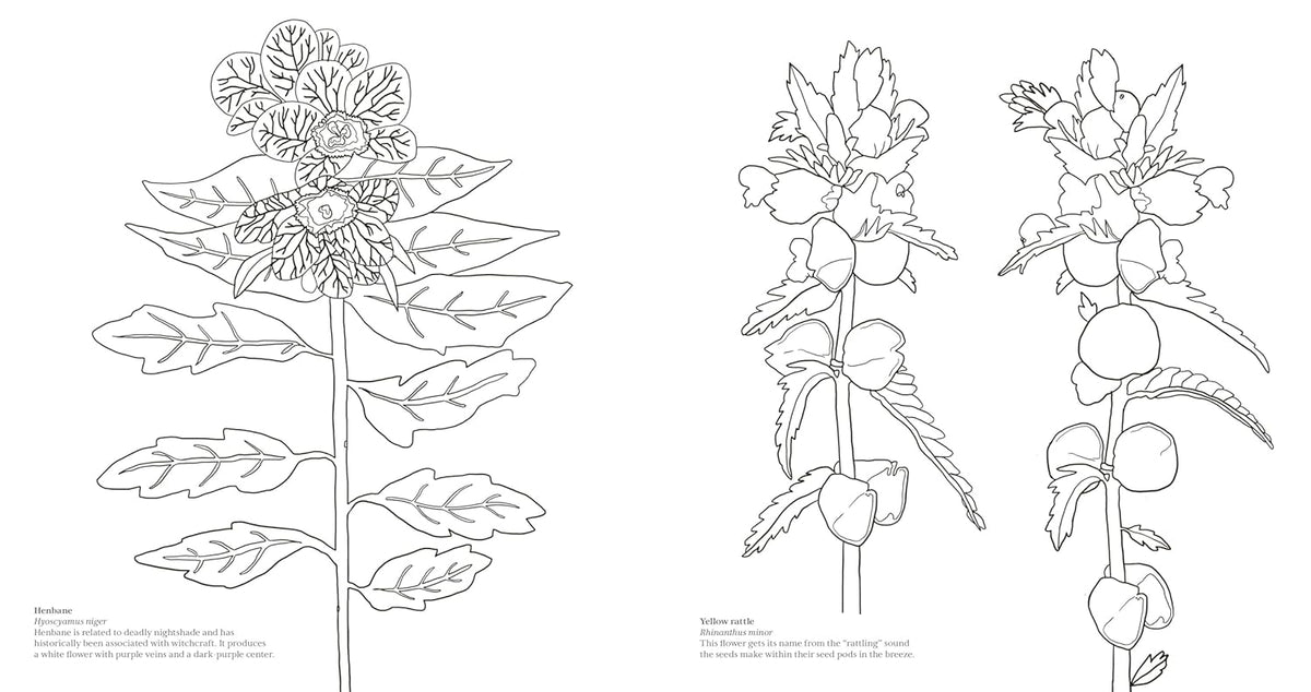 Wonderful Wildflowers Coloring Book: Over 75 Natural Wonders to Color and Explore