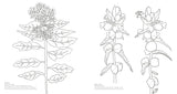 Wonderful Wildflowers Coloring Book