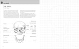 Anatomy for Artists