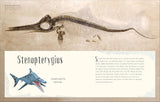 Antología de dinosaurios y vida prehistórica (Dinosaurs and Other Prehistoric Life) (DK Children's Anthologies) (Spanish Edition)