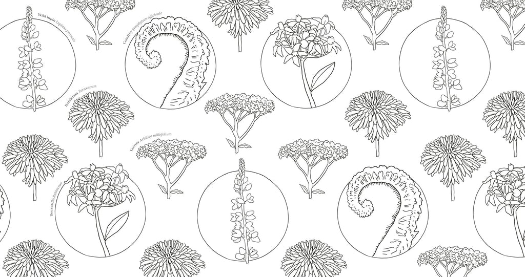 Wonderful Wildflowers Coloring Book: Over 75 Natural Wonders to Color and Explore