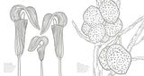Wonderful Wildflowers Coloring Book