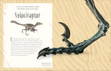 Antología de dinosaurios y vida prehistórica (Dinosaurs and Other Prehistoric Life) (DK Children's Anthologies) (Spanish Edition)