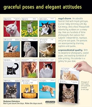 Cat Page-A-Day® Gallery Calendar 2026
