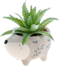 Karma Shaped Succulent Pot: Hedgehog