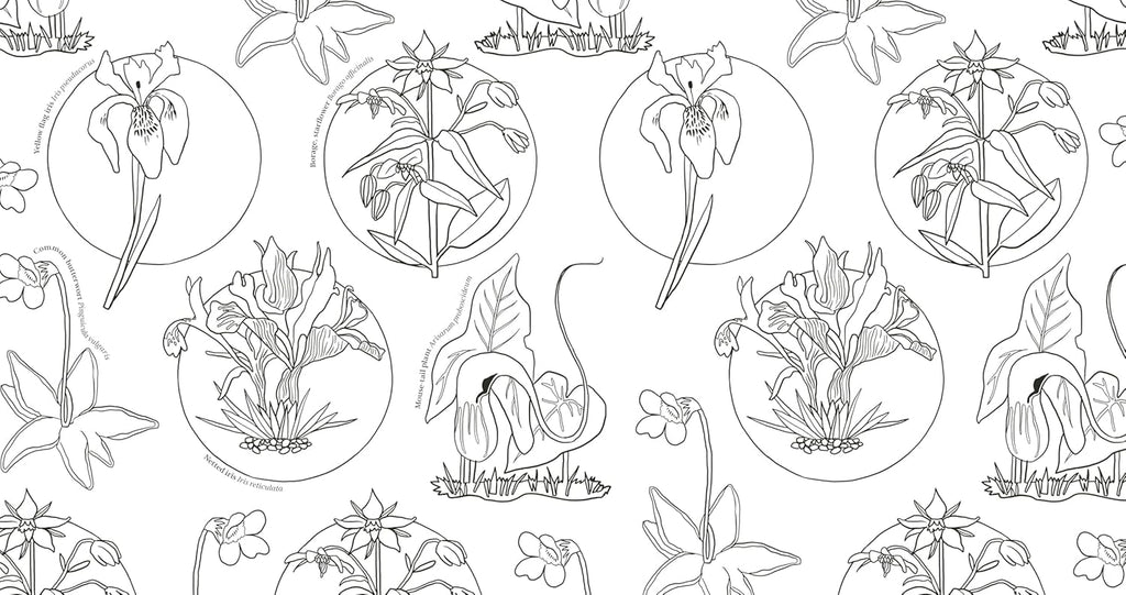 Wonderful Wildflowers Coloring Book: Over 75 Natural Wonders to Color and Explore