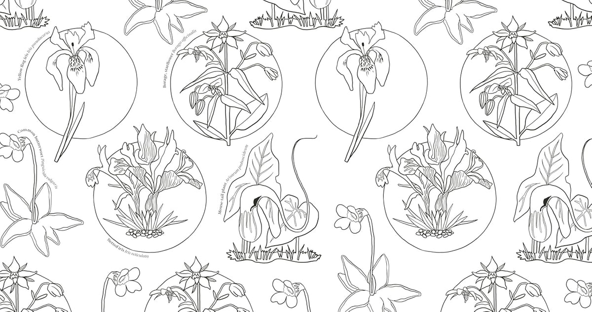 Wonderful Wildflowers Coloring Book: Over 75 Natural Wonders to Color and Explore