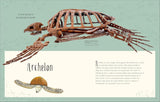 Antología de dinosaurios y vida prehistórica (Dinosaurs and Other Prehistoric Life) (DK Children's Anthologies) (Spanish Edition)