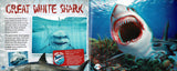 3D Sharks!