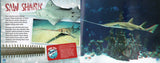 3D Sharks!