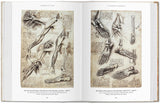 Leonardo: The Complete Drawings