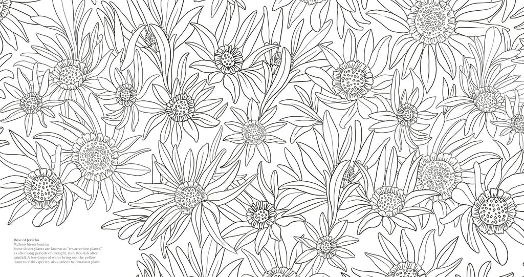 Wonderful Wildflowers Coloring Book: Over 75 Natural Wonders to Color and Explore