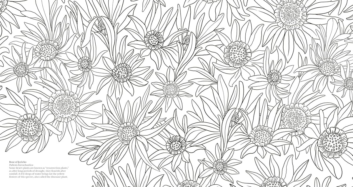 Wonderful Wildflowers Coloring Book: Over 75 Natural Wonders to Color and Explore