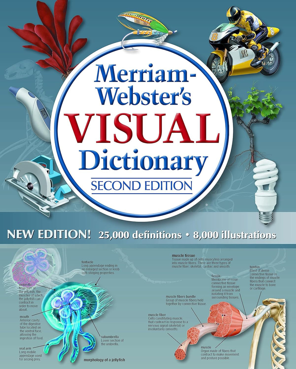 Merriam-Webster's Visual Dictionary: Second Edition: Second Edition