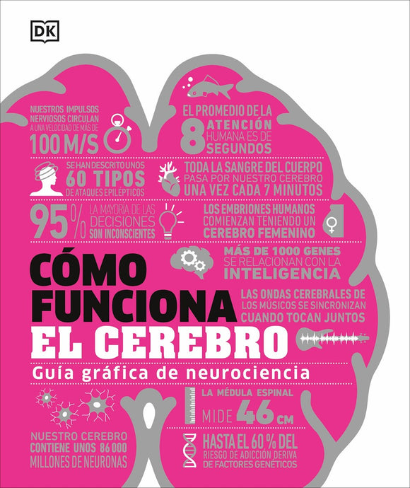 Cómo funciona el cerebro (How the Brain Works)