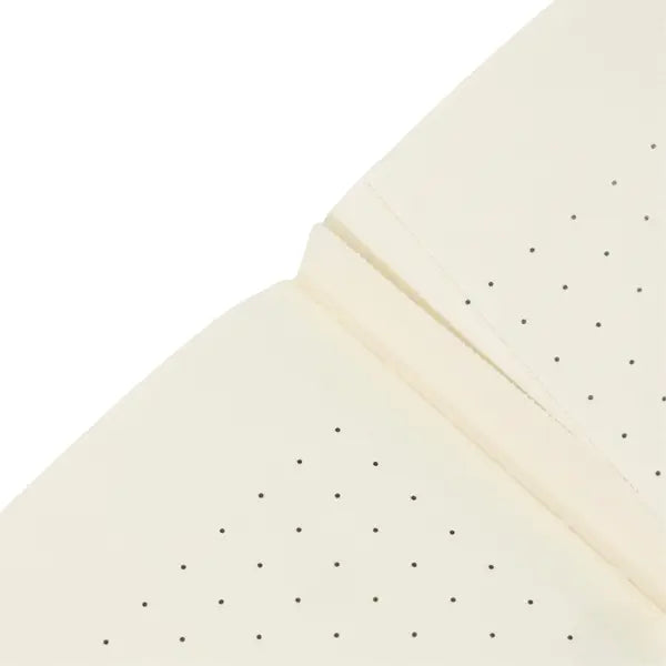 Paperblanks: Fourth Wing Shadows of Navarre A6 Dot Grid Softcover Cahier