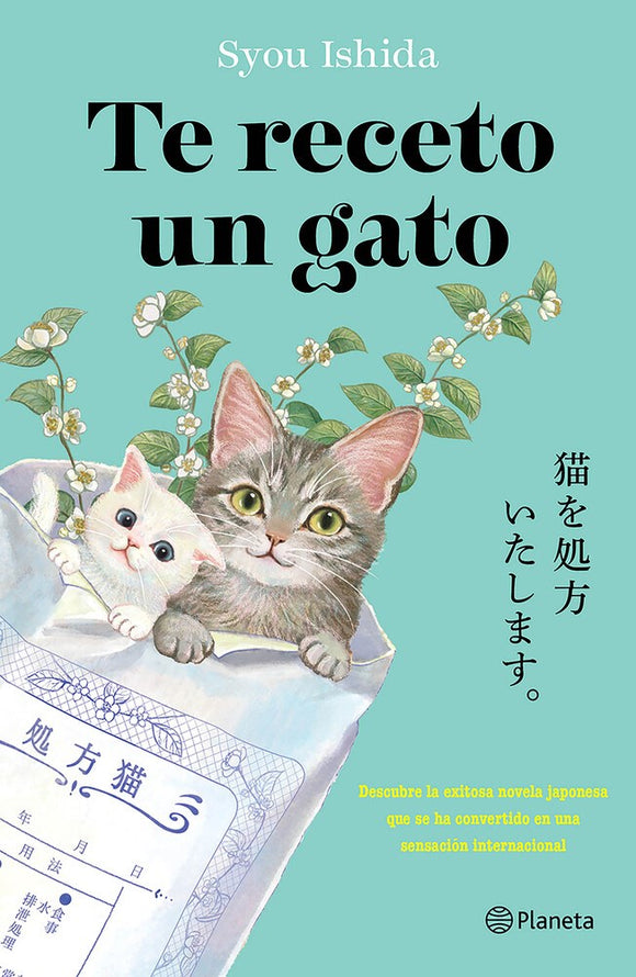 Te receto un gato (We'll Prescribe You a Cat Spanish Edition)