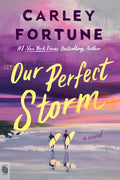 Our Perfect Storm (Export Paperback Edition)