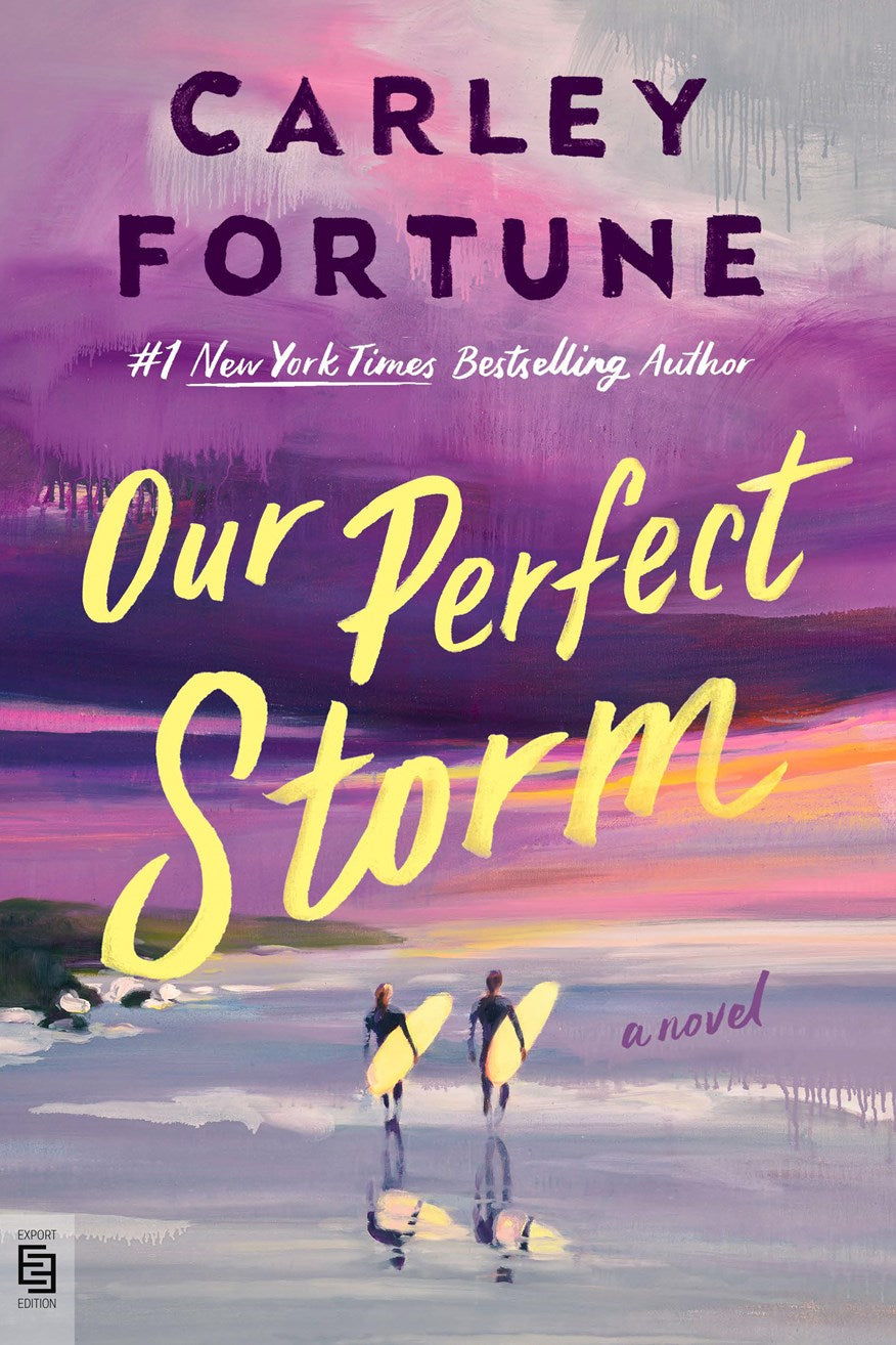 Our Perfect Storm (Export Paperback Edition)