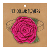 Santa Barbara: Medium Flower Pet Collar - Magenta