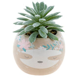 Karma Shaped Succulent Pot: Sloth