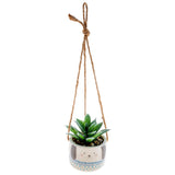 Karma Hanging Succulent Pot: Dog