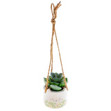 Karma Hanging Succulent Pot: Cat