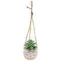 Karma Hanging Succulent Pot: Sloth