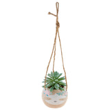 Karma Hanging Succulent Pot: Sloth