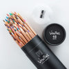Veritas Coloring Pencils in Cylinder  (Set of 48)