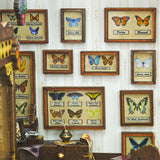 Butterfly Workshop Book Nook Kit (Hands Craft)