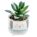 Karma Shaped Succulent Pot: Dog