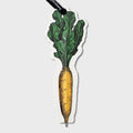 Flat Bookmark Pens- Carrot