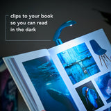 IF USA The Really Tiny Book Light: Sky