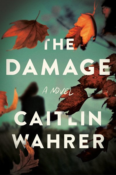 The Damage : A Novel