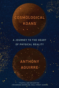Cosmological Koans : A Journey to the Heart of Physical Reality