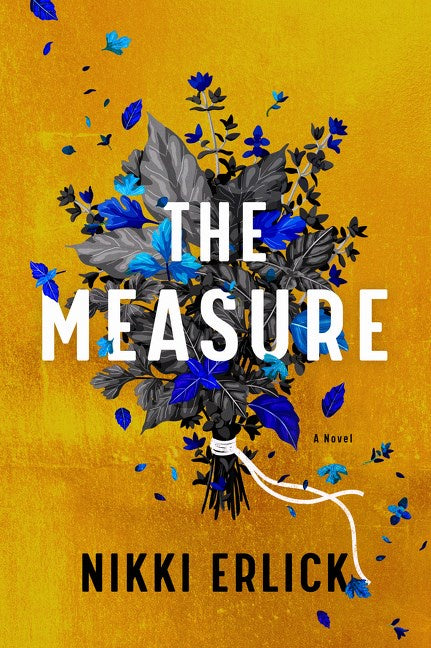 The Measure : A Novel